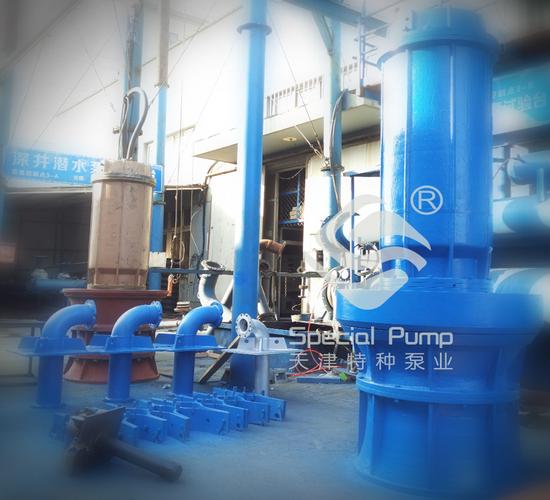 建设工程首选 专业泵站专用潜水轴流泵厂家综合指南